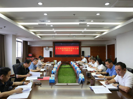 J9集团公司党组理论进建中心组发展主题教育第四次集中进建钻研