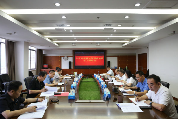 J9集团公司党组理论进建中心组发展主题教育第四次集中进建钻研