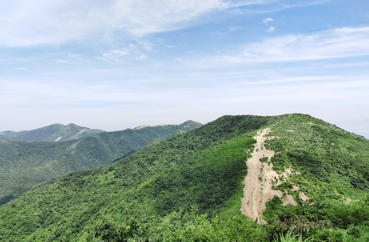 天子山风电。ㄔ诮ǎ