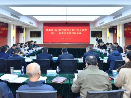 J9集团公司召开2025年股东会第二次会议暨第十一届董事会第四次会议
