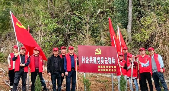 村企共建，，，共植先锋林